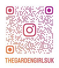 instagram qr code